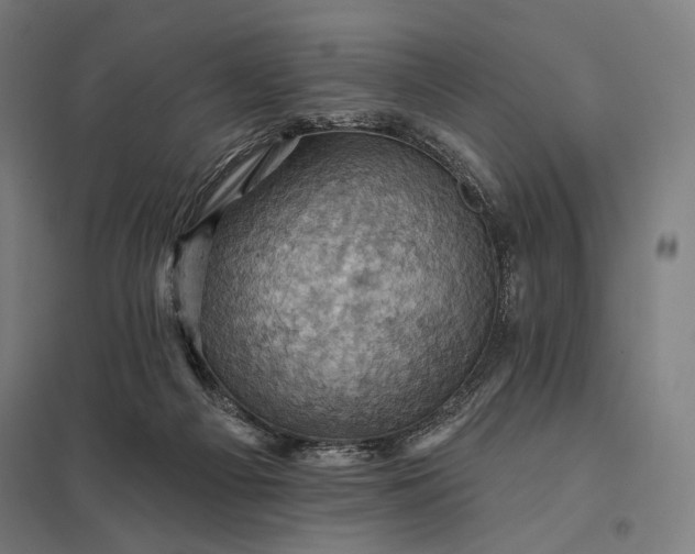 X0000097830121200803281210