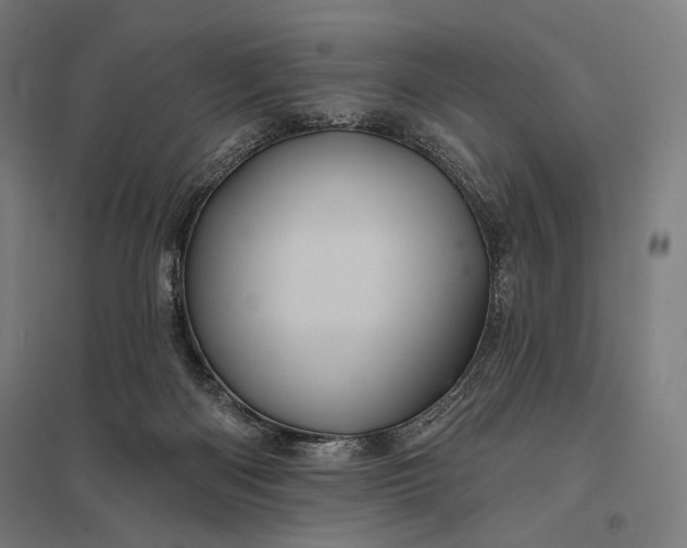 X0000097830122200803281210