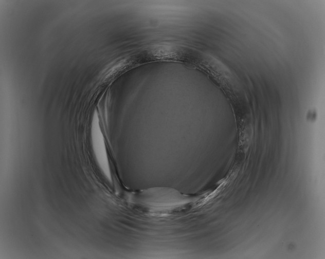 X0000097830124200803281210