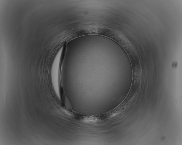 X0000097830125200803281210