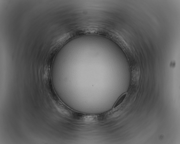 X0000097830126200803281209