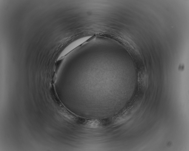 X0000097830127200803281209