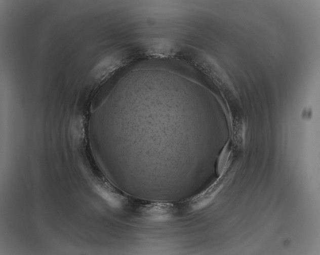 X0000097830128200803281209