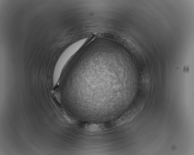 X0000097830129200803281209