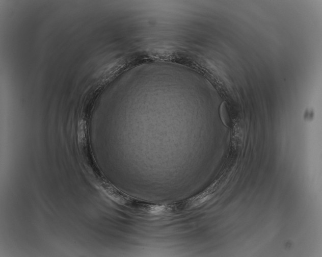 X0000097830130200803281209