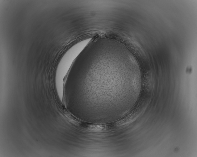 X0000097830131200803281209