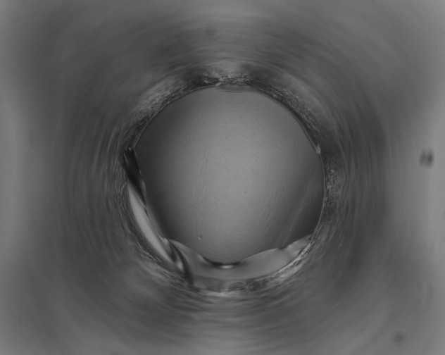 X0000097830132200803281209