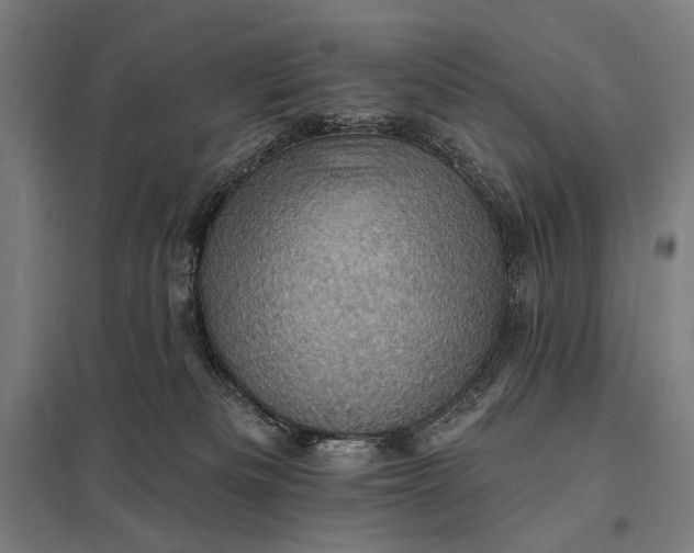 X0000097830133200803281209