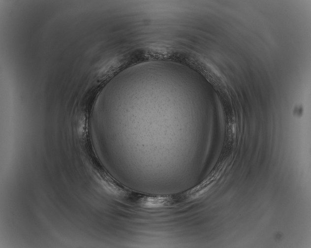 X0000097830134200803281209