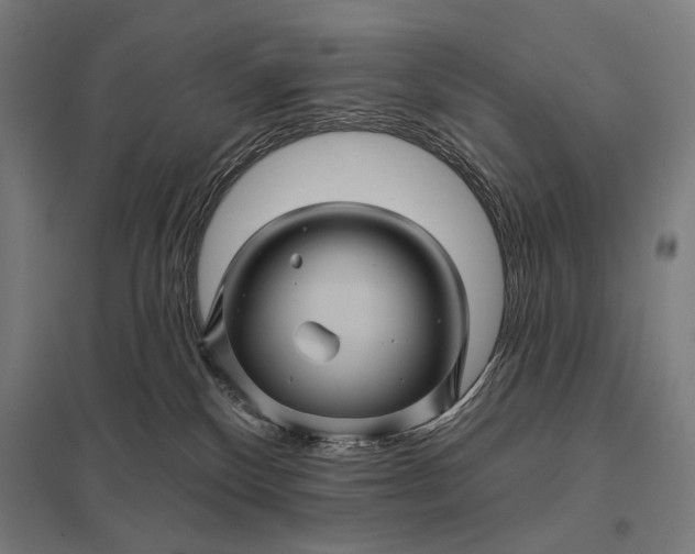 X0000097830136200803281209