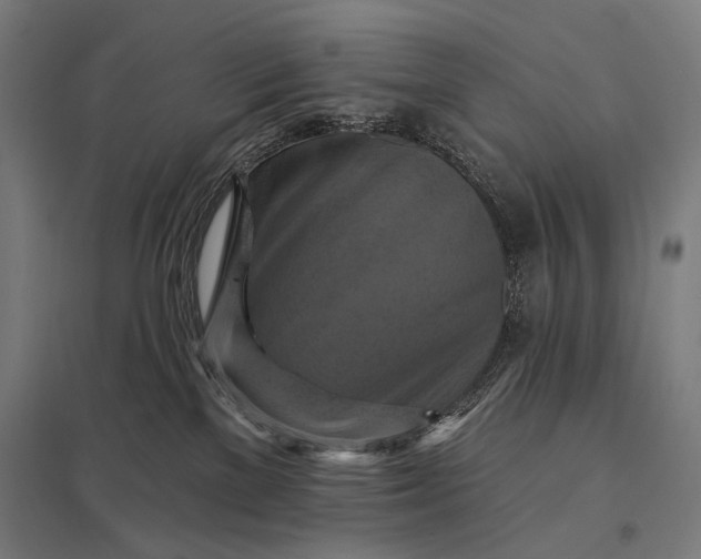 X0000097830137200803281209