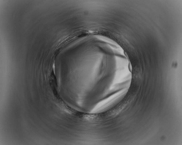 X0000097830139200803281209