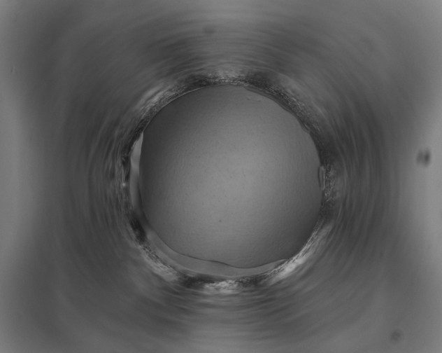 X0000097830140200803281209