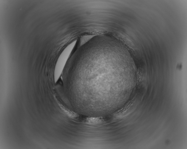 X0000097830141200803281209