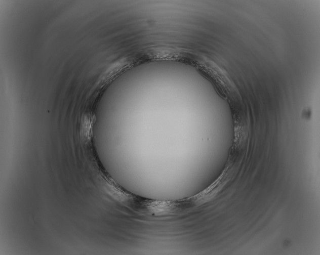 X0000097830142200803281209