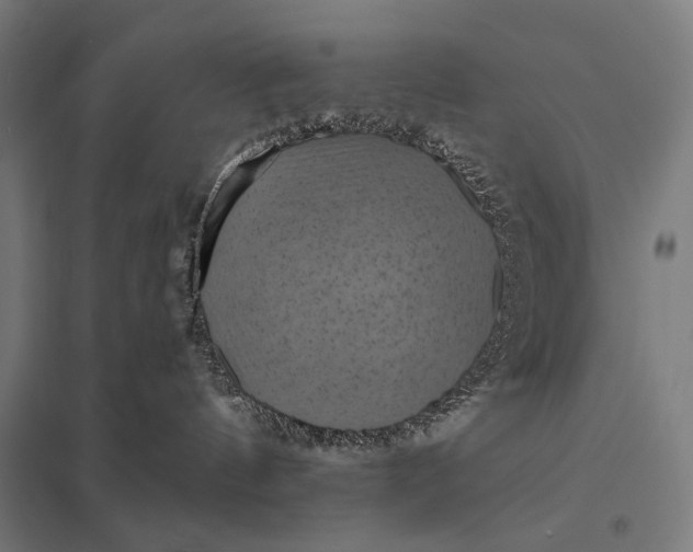 X0000097830144200803281209