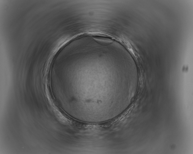 X0000097830145200803281208