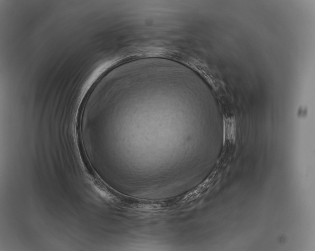 X0000097830147200803281208