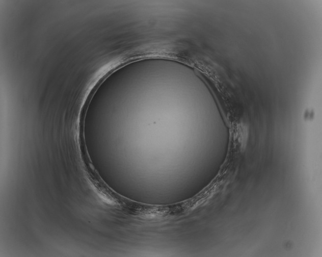 X0000097830148200803281208