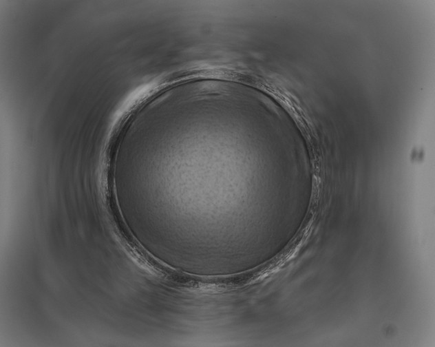 X0000097830149200803281208