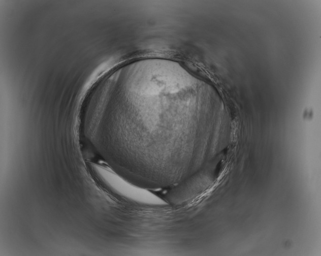 X0000097830150200803281208