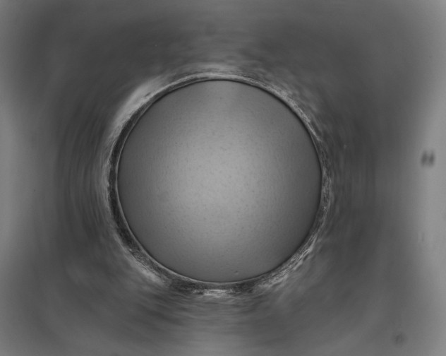 X0000097830151200803281208