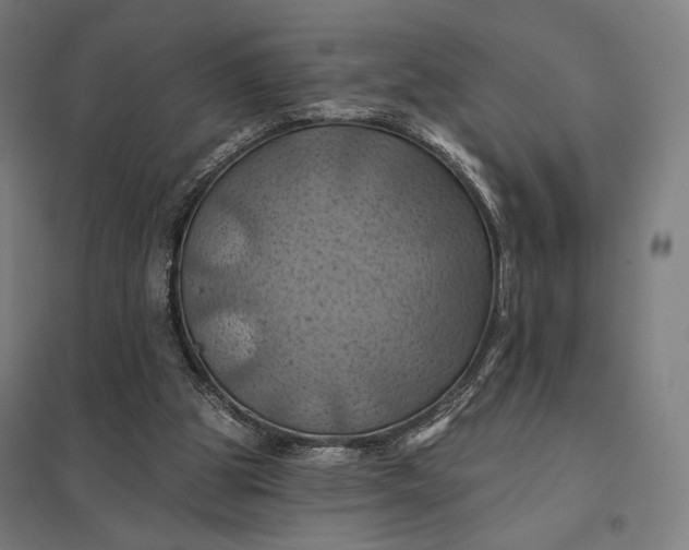 X0000097830153200803281209