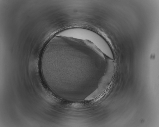 X0000097830154200803281209