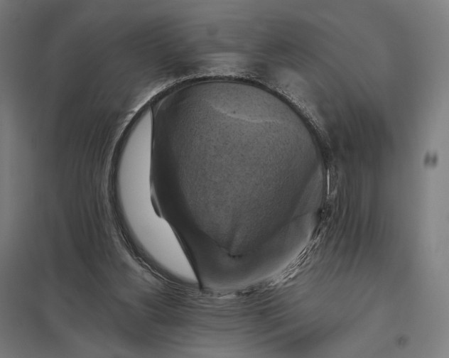 X0000097830156200803281209