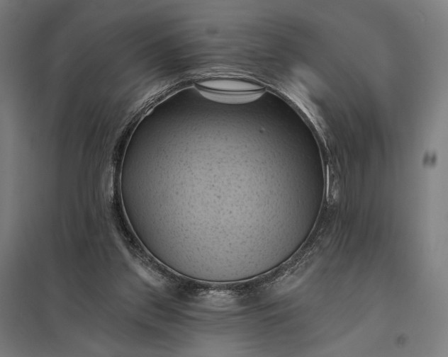 X0000097830157200803281209