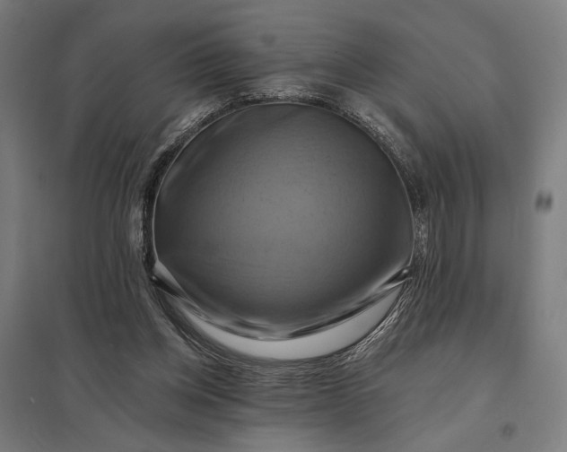 X0000097830158200803281209