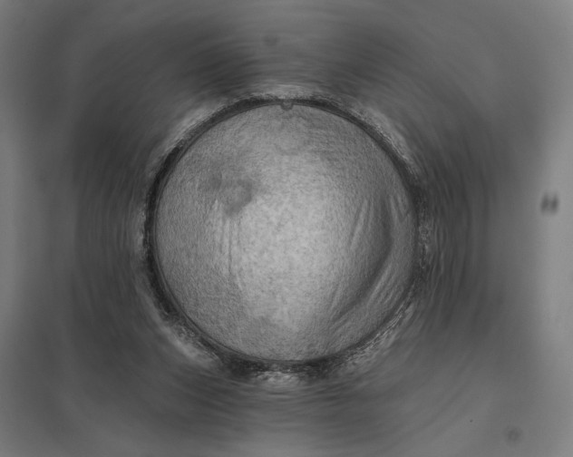 X0000097830159200803281209