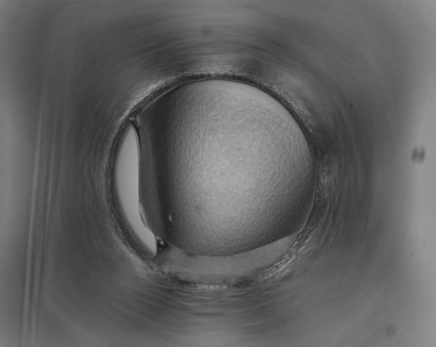 X0000097830160200803281209