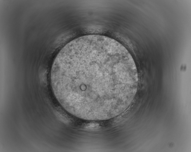 X0000097830162200803281209