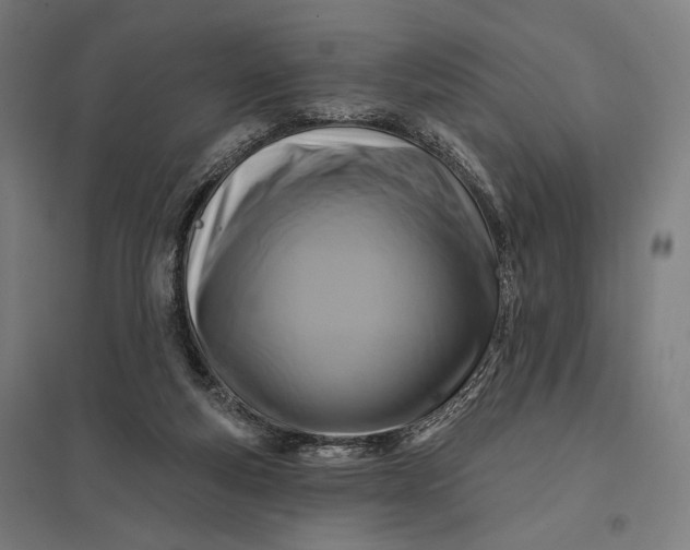 X0000097830163200803281209