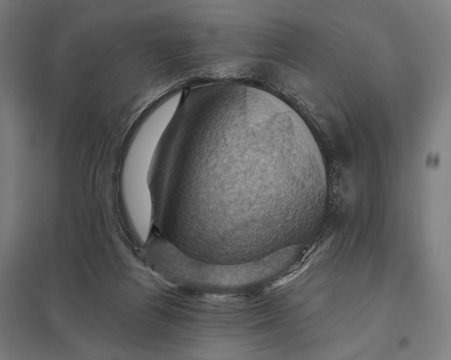 X0000097830164200803281209