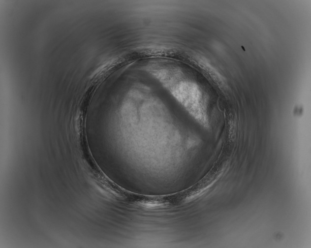 X0000097830165200803281209