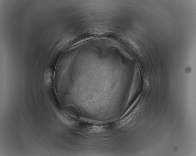 X0000097830166200803281209