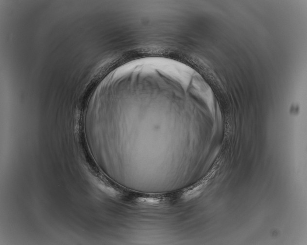 X0000097830167200803281209