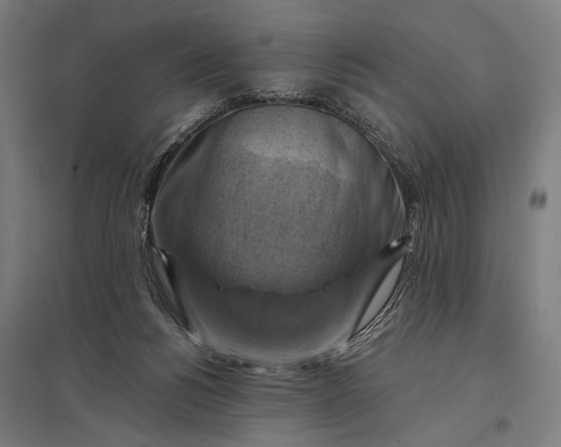 X0000097830168200803281209