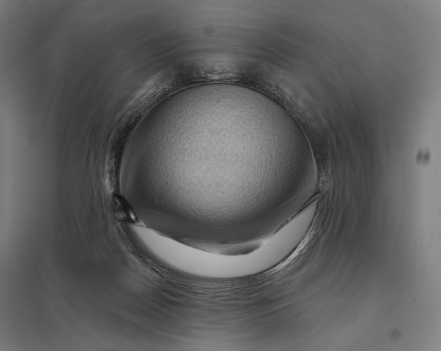 X0000097830170200803281209