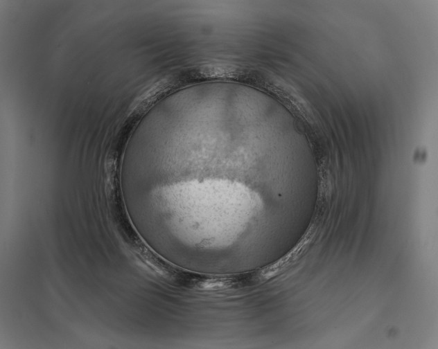 X0000097830171200803281209