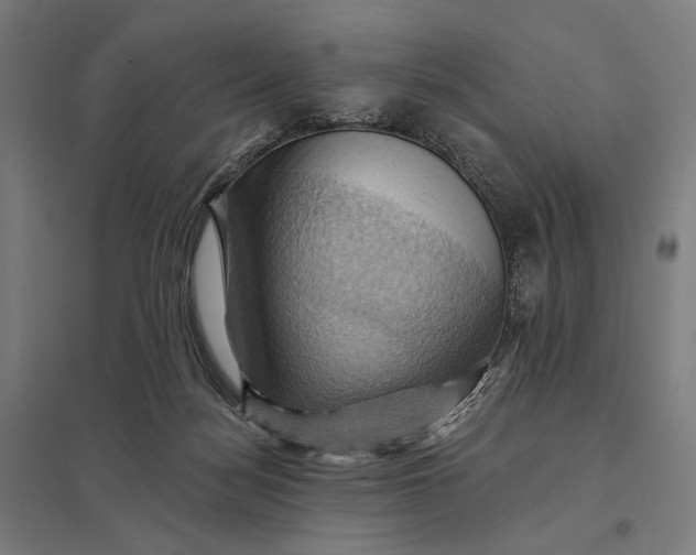 X0000097830172200803281209