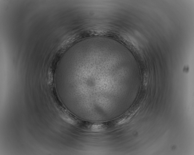 X0000097830173200803281209