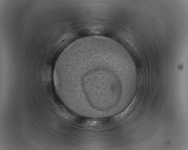 X0000097830174200803281209