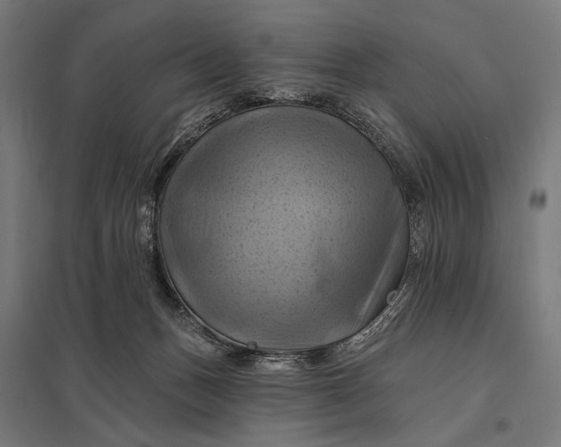 X0000097830175200803281209