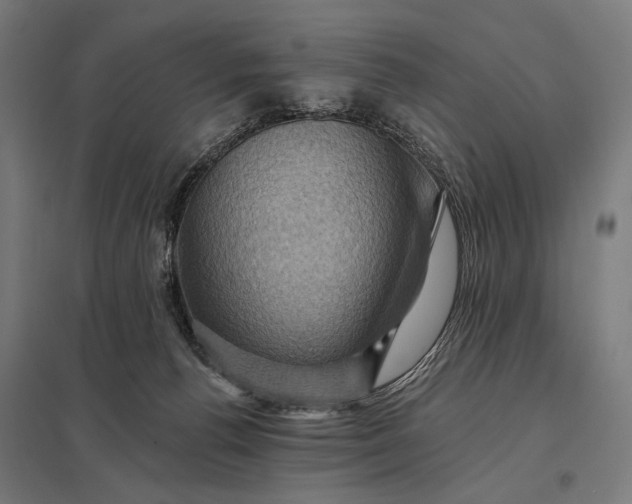 X0000097830176200803281209