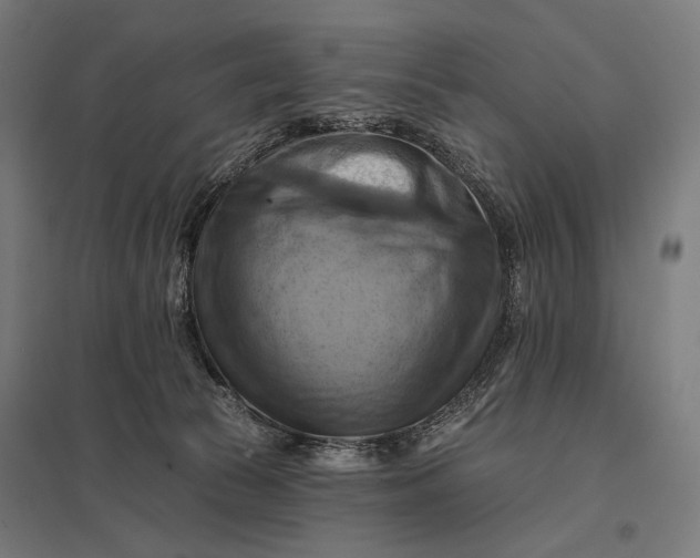 X0000097830177200803281209