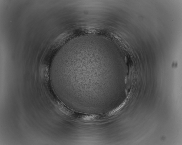 X0000097830178200803281209