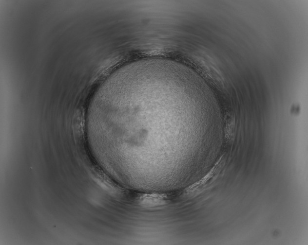 X0000097830179200803281209